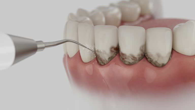 Reliable Dental contractor in Demorest, GA by Dentist Open Now
